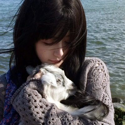 丁丁战猴王